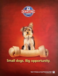 small dogs big opportunity ad
