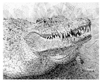 a black and white drawing of a crocodile
