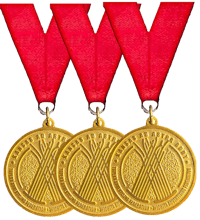 three gold medals with red ribbons on a black background
