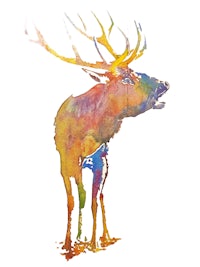a watercolor painting of an elk with antlers