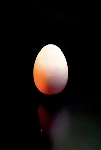 a white egg sitting on a black surface